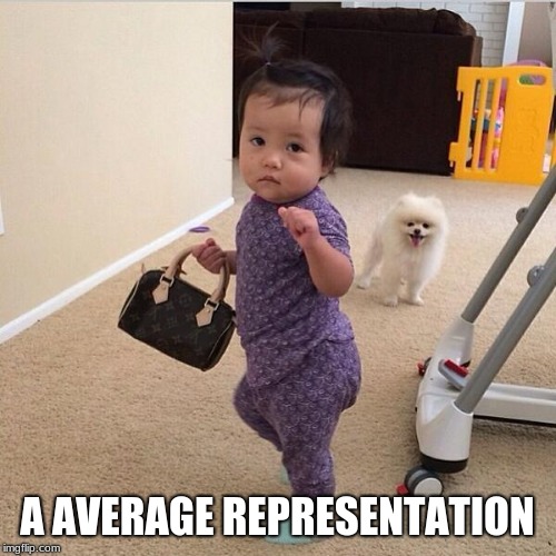 toddler holding purse | A AVERAGE REPRESENTATION | image tagged in toddler holding purse | made w/ Imgflip meme maker