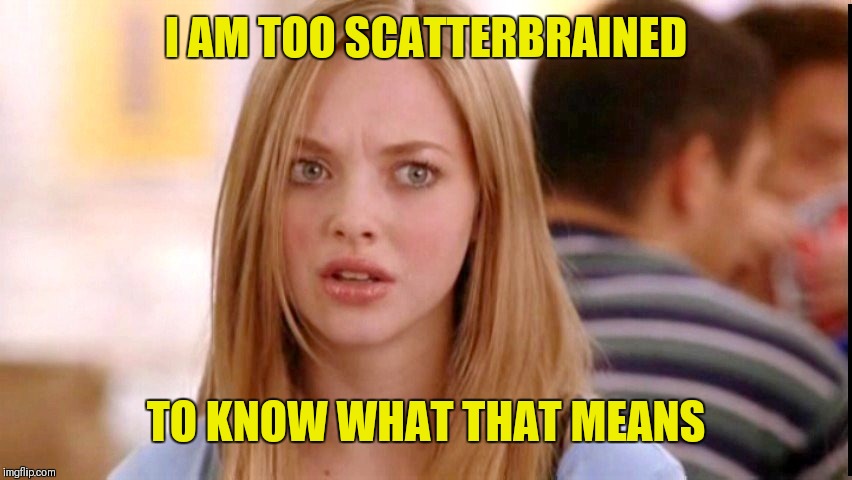 Dumb Blonde | I AM TOO SCATTERBRAINED TO KNOW WHAT THAT MEANS | image tagged in dumb blonde | made w/ Imgflip meme maker