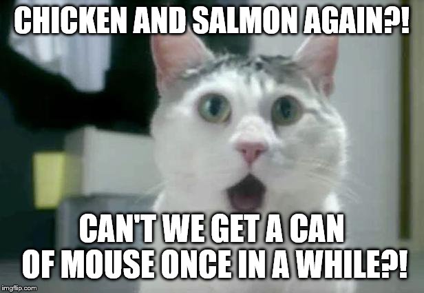 OMG Cat Meme | CHICKEN AND SALMON AGAIN?! CAN'T WE GET A CAN OF MOUSE ONCE IN A WHILE?! | image tagged in memes,omg cat | made w/ Imgflip meme maker