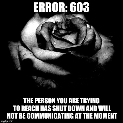 ERROR: 603; THE PERSON YOU ARE TRYING TO REACH HAS SHUT DOWN AND WILL NOT BE COMMUNICATING AT THE MOMENT | image tagged in error,warning | made w/ Imgflip meme maker