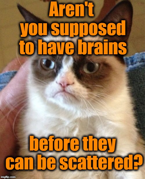 Grumpy Cat Meme | Aren't you supposed to have brains before they can be scattered? | image tagged in memes,grumpy cat | made w/ Imgflip meme maker