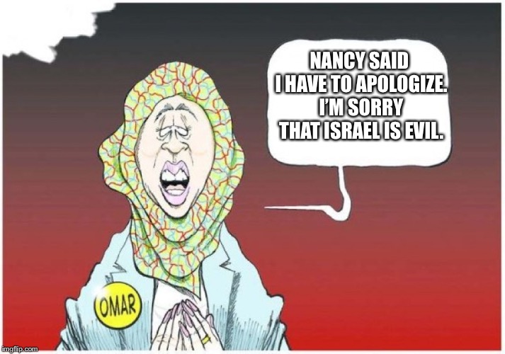 Ilhan omar | NANCY SAID I HAVE TO APOLOGIZE. I’M SORRY THAT ISRAEL IS EVIL. | image tagged in ilhan omar | made w/ Imgflip meme maker