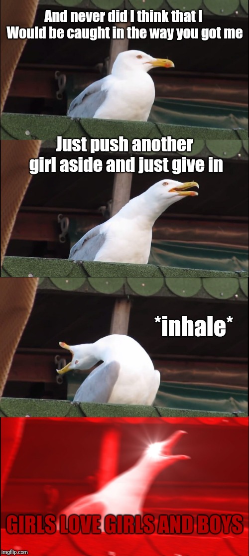 Inhaling Seagull Meme | And never did I think that I Would be caught in the way you got me; Just push another girl aside and just give in; *inhale*; GIRLS LOVE GIRLS AND BOYS | image tagged in memes,inhaling seagull,panic at the disco | made w/ Imgflip meme maker