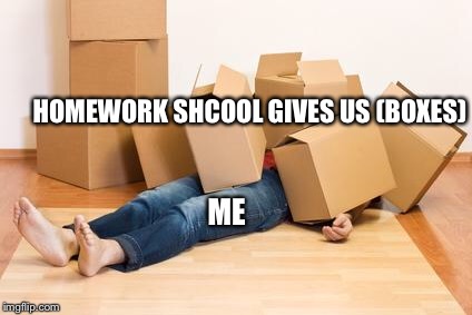 Please.....Just.....No...... | HOMEWORK SHCOOL GIVES US (BOXES); ME | image tagged in your friend needs help moving,help,homework,oof | made w/ Imgflip meme maker
