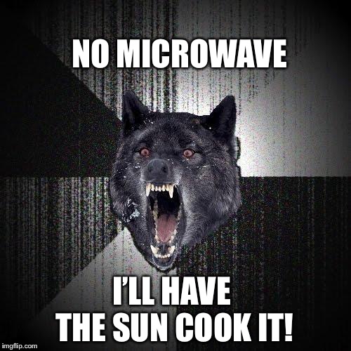 Insanity Wolf | NO MICROWAVE; I’LL HAVE THE SUN COOK IT! | image tagged in memes,insanity wolf | made w/ Imgflip meme maker