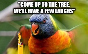 "COME UP TO THE TREE. WE'LL HAVE A FEW LAUGHS" | made w/ Imgflip meme maker