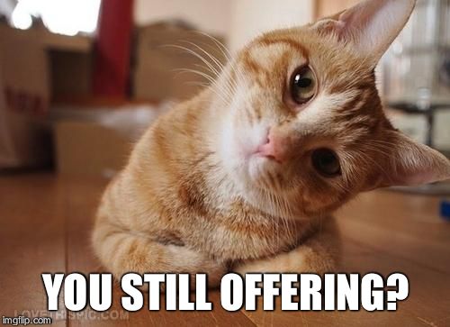 Curious Question Cat | YOU STILL OFFERING? | image tagged in curious question cat | made w/ Imgflip meme maker