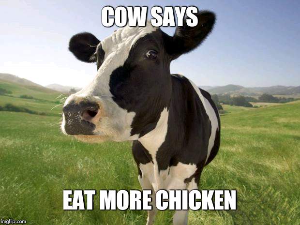 cow | COW SAYS; EAT MORE CHICKEN | image tagged in cow | made w/ Imgflip meme maker