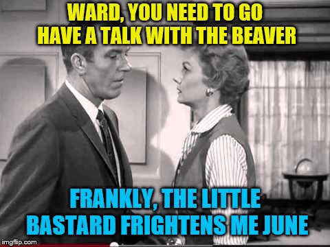 WARD, YOU NEED TO GO HAVE A TALK WITH THE BEAVER FRANKLY, THE LITTLE BASTARD FRIGHTENS ME JUNE | made w/ Imgflip meme maker