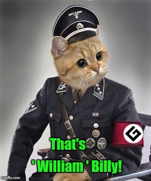 Grammar Nazi Cat | That's       ' William ' Billy! | image tagged in grammar nazi cat | made w/ Imgflip meme maker