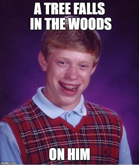 Timberrrrrr! | A TREE FALLS IN THE WOODS; ON HIM | image tagged in memes,bad luck brian | made w/ Imgflip meme maker