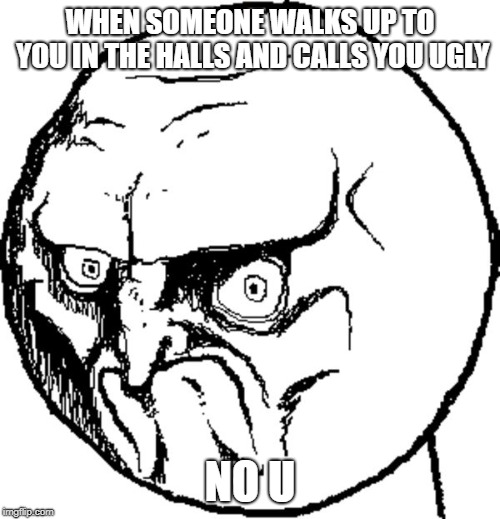  WHEN SOMEONE WALKS UP TO YOU IN THE HALLS AND CALLS YOU UGLY; NO U | image tagged in angry troll face | made w/ Imgflip meme maker