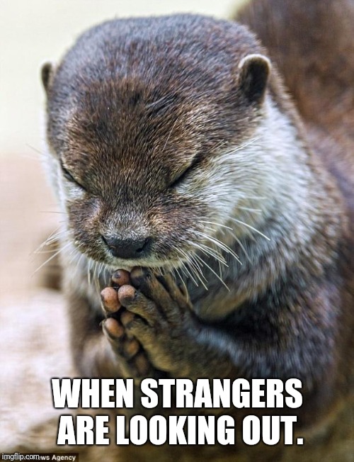 Thank you Lord Otter | WHEN STRANGERS ARE LOOKING OUT. | image tagged in thank you lord otter | made w/ Imgflip meme maker