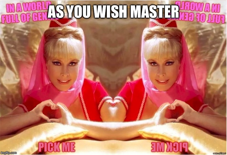 Jeannie twins of Genie | AS YOU WISH MASTER | image tagged in jeannie twins of genie | made w/ Imgflip meme maker