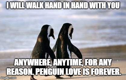 Penguin Love | I WILL WALK HAND IN HAND WITH YOU; ANYWHERE, ANYTIME, FOR ANY REASON. PENGUIN LOVE IS FOREVER. | image tagged in penguins,love | made w/ Imgflip meme maker