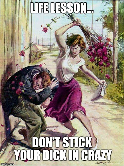 Beaten with Roses | LIFE LESSON... DON'T STICK YOUR DICK IN CRAZY | image tagged in beaten with roses | made w/ Imgflip meme maker