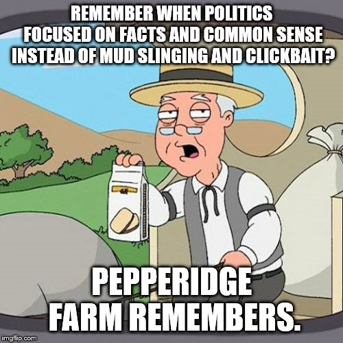Pepperidge Farm Remembers Meme | REMEMBER WHEN POLITICS FOCUSED ON FACTS AND COMMON SENSE INSTEAD OF MUD SLINGING AND CLICKBAIT? PEPPERIDGE FARM REMEMBERS. | image tagged in memes,pepperidge farm remembers | made w/ Imgflip meme maker