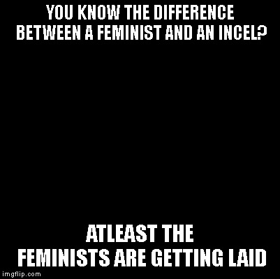 Blank | YOU KNOW THE DIFFERENCE BETWEEN A FEMINIST AND AN INCEL? ATLEAST THE FEMINISTS ARE GETTING LAID | image tagged in blank | made w/ Imgflip meme maker