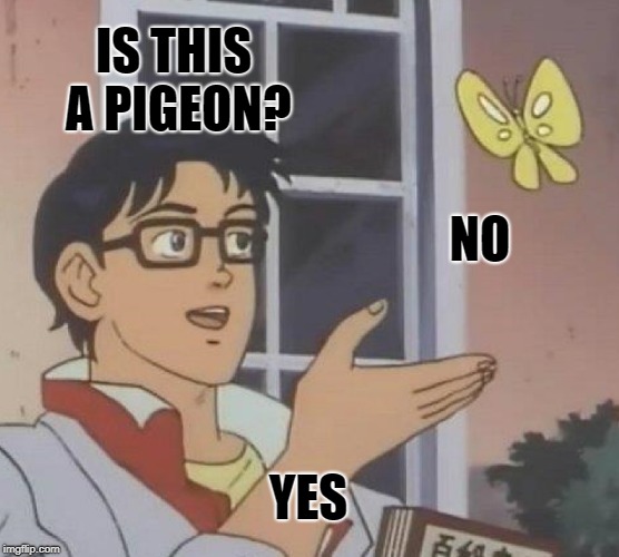 Is This A Pigeon | IS THIS A PIGEON? NO; YES | image tagged in memes,is this a pigeon | made w/ Imgflip meme maker