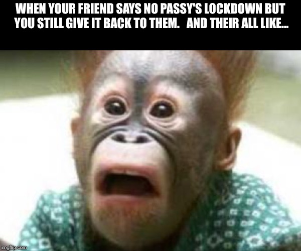 No passy's  | WHEN YOUR FRIEND SAYS NO PASSY'S LOCKDOWN BUT YOU STILL GIVE IT BACK TO THEM.   AND THEIR ALL LIKE... | image tagged in google images | made w/ Imgflip meme maker