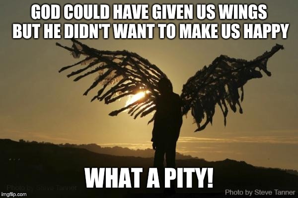 If we had wings | GOD COULD HAVE GIVEN US WINGS BUT HE DIDN'T WANT TO MAKE US HAPPY; WHAT A PITY! | image tagged in wings,angels | made w/ Imgflip meme maker