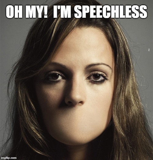 OH MY!  I'M SPEECHLESS | made w/ Imgflip meme maker