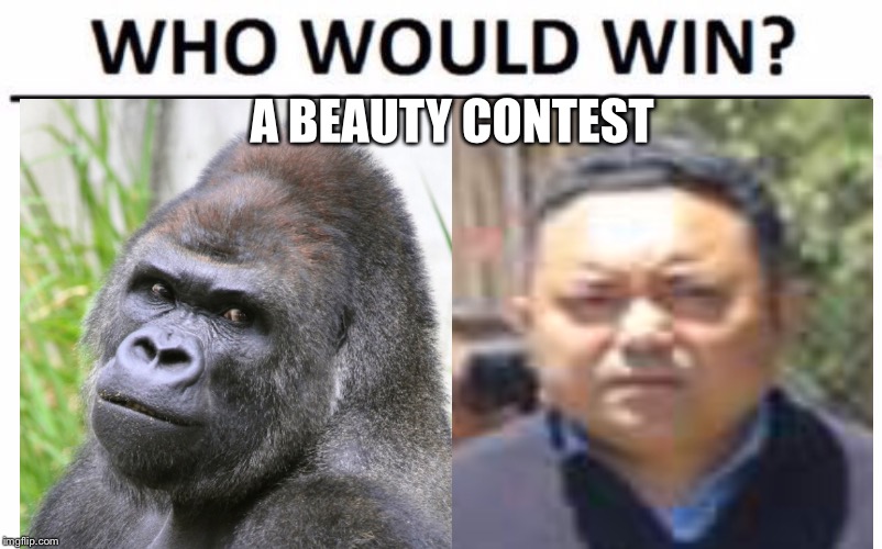 Who Would Win? Meme | A BEAUTY CONTEST | image tagged in memes,who would win,sonam topgay tashi,ugly guy | made w/ Imgflip meme maker