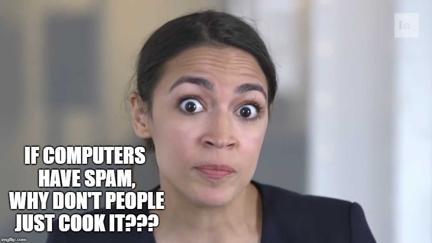 Confused Cortez | IF COMPUTERS HAVE SPAM, WHY DON'T PEOPLE JUST COOK IT??? | image tagged in confused cortez | made w/ Imgflip meme maker