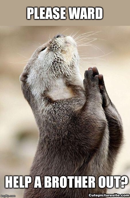 Praying beaver | PLEASE WARD HELP A BROTHER OUT? | image tagged in praying beaver | made w/ Imgflip meme maker