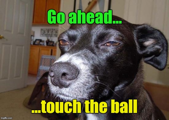 Go ahead... ...touch the ball | image tagged in daring dog | made w/ Imgflip meme maker