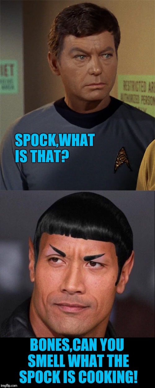 SPOCK,WHAT IS THAT? BONES,CAN YOU SMELL WHAT THE SPOCK IS COOKING! | image tagged in star trek,bones mccoy,the rock | made w/ Imgflip meme maker