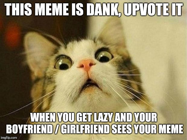 Scared Cat | THIS MEME IS DANK, UPVOTE IT; WHEN YOU GET LAZY AND YOUR BOYFRIEND / GIRLFRIEND SEES YOUR MEME | image tagged in memes,scared cat | made w/ Imgflip meme maker