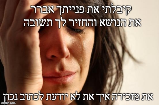 First World Problems | קיבלתי את פנייתך אברר את הנושא והחזיר לך תשובה; את מזכירה איך את לא יודעת לכתוב נכון | image tagged in memes,first world problems | made w/ Imgflip meme maker