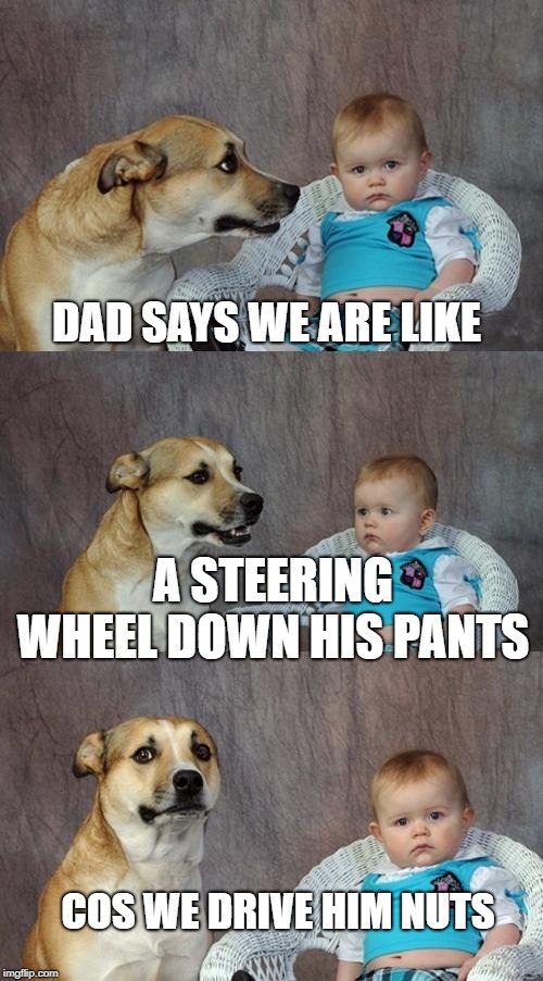 Dad Joke Dog Meme | DAD SAYS WE ARE LIKE; A STEERING WHEEL DOWN HIS PANTS; COS WE DRIVE HIM NUTS | image tagged in memes,dad joke dog | made w/ Imgflip meme maker