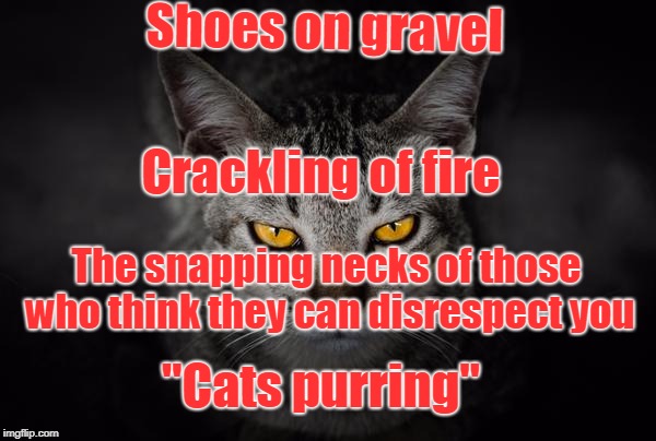 Horror Cat | Shoes on gravel; Crackling of fire; The snapping necks of those who think they can disrespect you; "Cats purring" | image tagged in cat | made w/ Imgflip meme maker