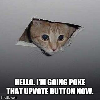 Ceiling Cat Meme | HELLO. I'M GOING POKE THAT UPVOTE BUTTON NOW. | image tagged in memes,ceiling cat | made w/ Imgflip meme maker