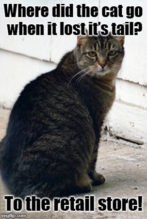 Cat go to purchase | Where did the cat go when it lost it’s tail? To the retail store! | image tagged in cat | made w/ Imgflip meme maker