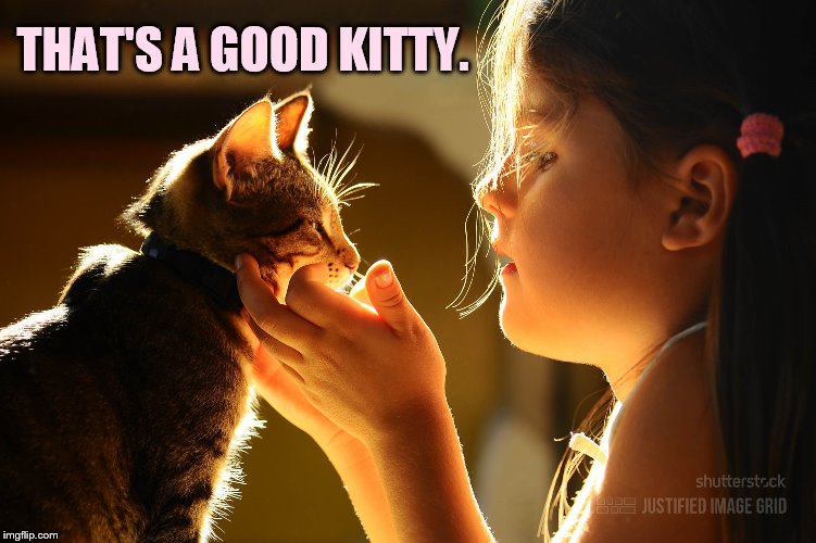 THAT'S A GOOD KITTY. | made w/ Imgflip meme maker