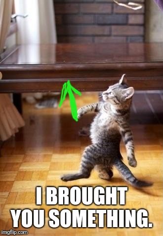 Cool Cat Stroll Meme | I BROUGHT YOU SOMETHING. | image tagged in memes,cool cat stroll | made w/ Imgflip meme maker