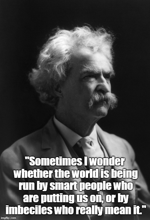Mark Twain | "Sometimes I wonder whether the world is being run by smart people who are putting us on, or by imbeciles who really mean it." | image tagged in politics | made w/ Imgflip meme maker