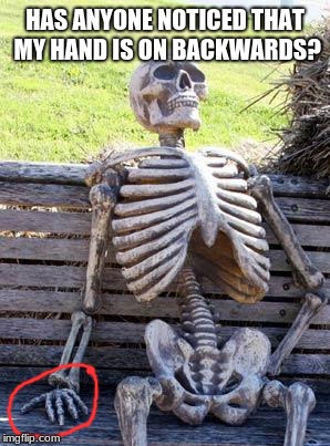 I honestly never noticed. | HAS ANYONE NOTICED THAT MY HAND IS ON BACKWARDS? | image tagged in memes,waiting skeleton | made w/ Imgflip meme maker