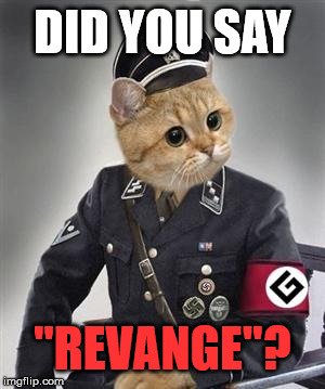 Grammar Nazi Cat | DID YOU SAY "REVANGE"? | image tagged in grammar nazi cat | made w/ Imgflip meme maker