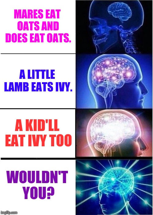 What A Fun Thing To Say. | MARES EAT OATS AND DOES EAT OATS. A LITTLE LAMB EATS IVY. A KID'LL EAT IVY TOO; WOULDN'T YOU? | image tagged in memes,expanding brain,fun stuff,language,tongue,playing | made w/ Imgflip meme maker