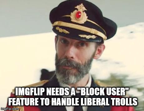 Captain Obvious | IMGFLIP NEEDS A "BLOCK USER" FEATURE TO HANDLE LIBERAL TROLLS | image tagged in captain obvious,imgflip,imgflip users,trolls | made w/ Imgflip meme maker