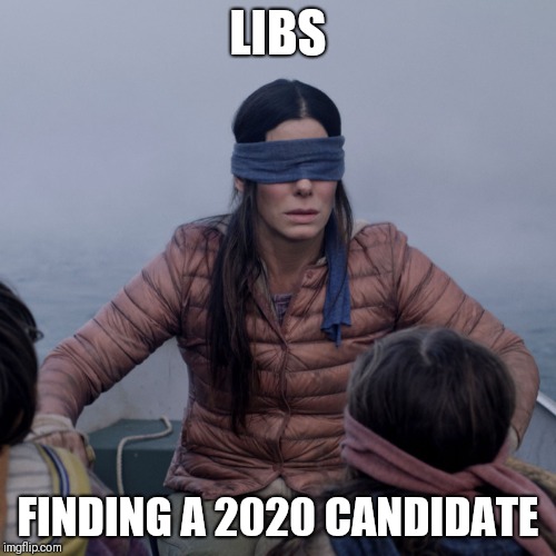 Bird Box Meme | LIBS; FINDING A 2020 CANDIDATE | image tagged in bird box | made w/ Imgflip meme maker