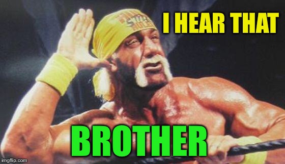 Hulk Hogan Ear | I HEAR THAT BROTHER | image tagged in hulk hogan ear | made w/ Imgflip meme maker