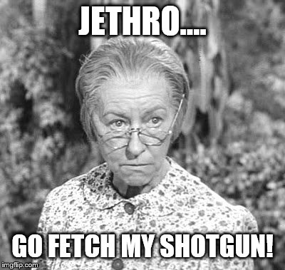 Granny | JETHRO.... GO FETCH MY SHOTGUN! | image tagged in granny | made w/ Imgflip meme maker