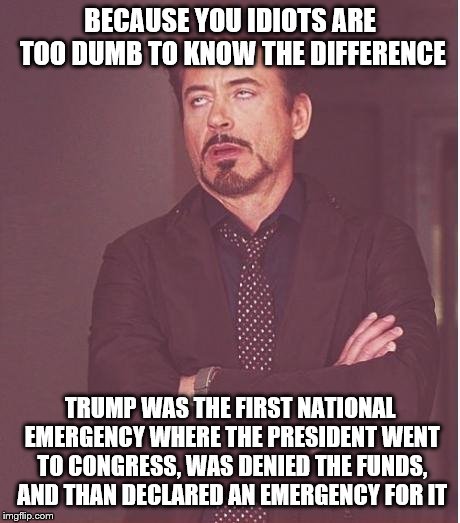 "Constitutional" Conservatives | BECAUSE YOU IDIOTS ARE TOO DUMB TO KNOW THE DIFFERENCE; TRUMP WAS THE FIRST NATIONAL EMERGENCY WHERE THE PRESIDENT WENT TO CONGRESS, WAS DENIED THE FUNDS, AND THAN DECLARED AN EMERGENCY FOR IT | image tagged in face you make robert downey jr | made w/ Imgflip meme maker