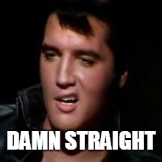 Elvis, thank you | DAMN STRAIGHT | image tagged in elvis thank you | made w/ Imgflip meme maker
