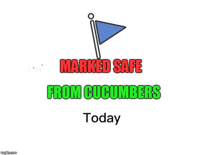 Marked safe from | MARKED SAFE FROM CUCUMBERS | image tagged in marked safe from | made w/ Imgflip meme maker